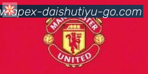 袋鼠体育直播合作伙伴